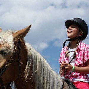 FEcavallo (1)